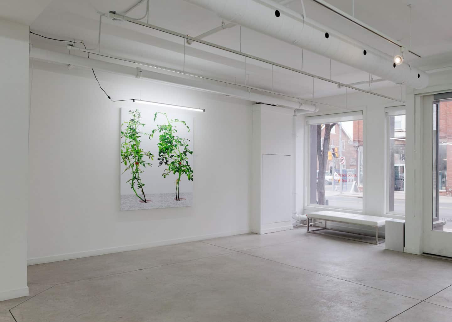 Alex Fischer, VII, 2015,  60×48 giclee on dibond, installed in 1, 7 and 6000, O'Born Contemporary